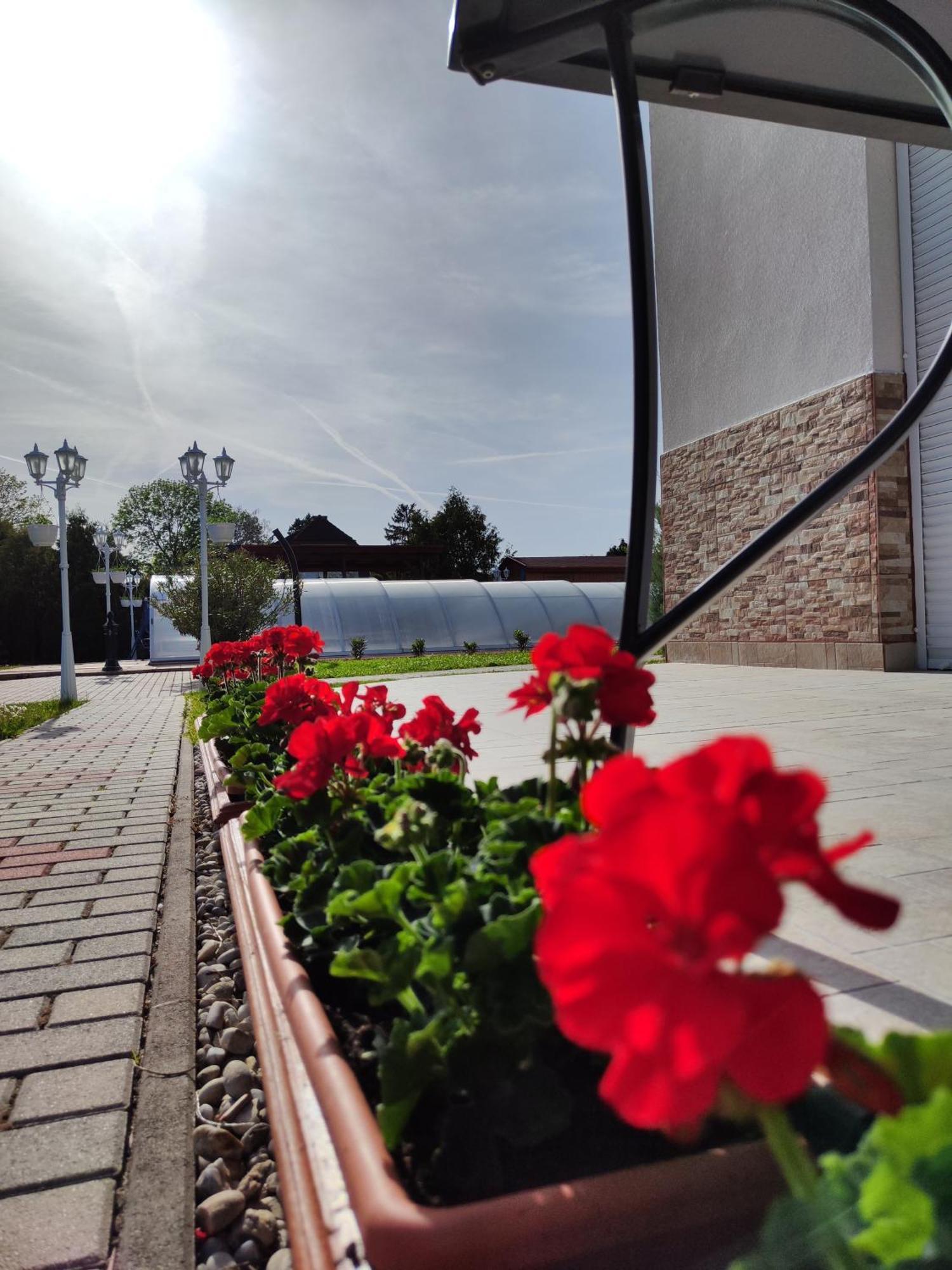 Havasi Vendégház Gyenesdiás Exterior foto